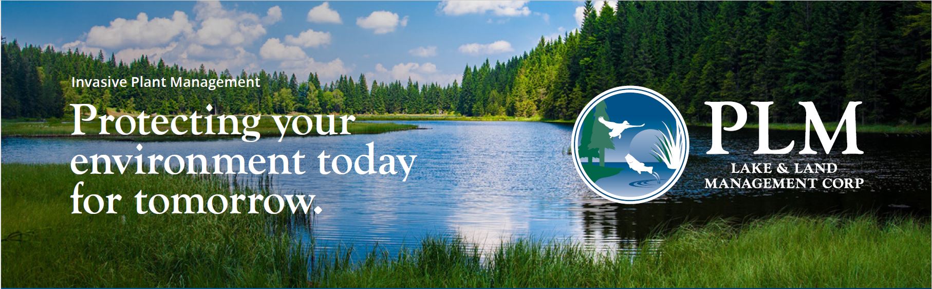 PLM-protecting-your-environment