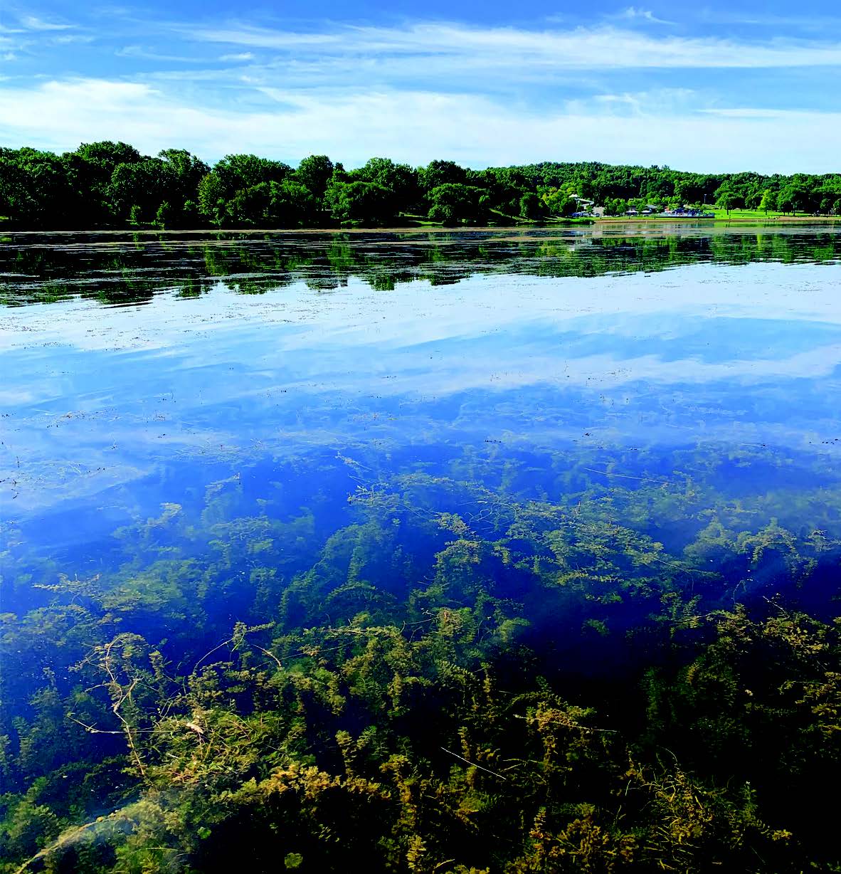 aquatic-services-lake-view