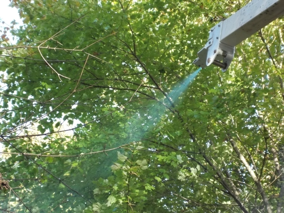 foliar-chemical-side-trim