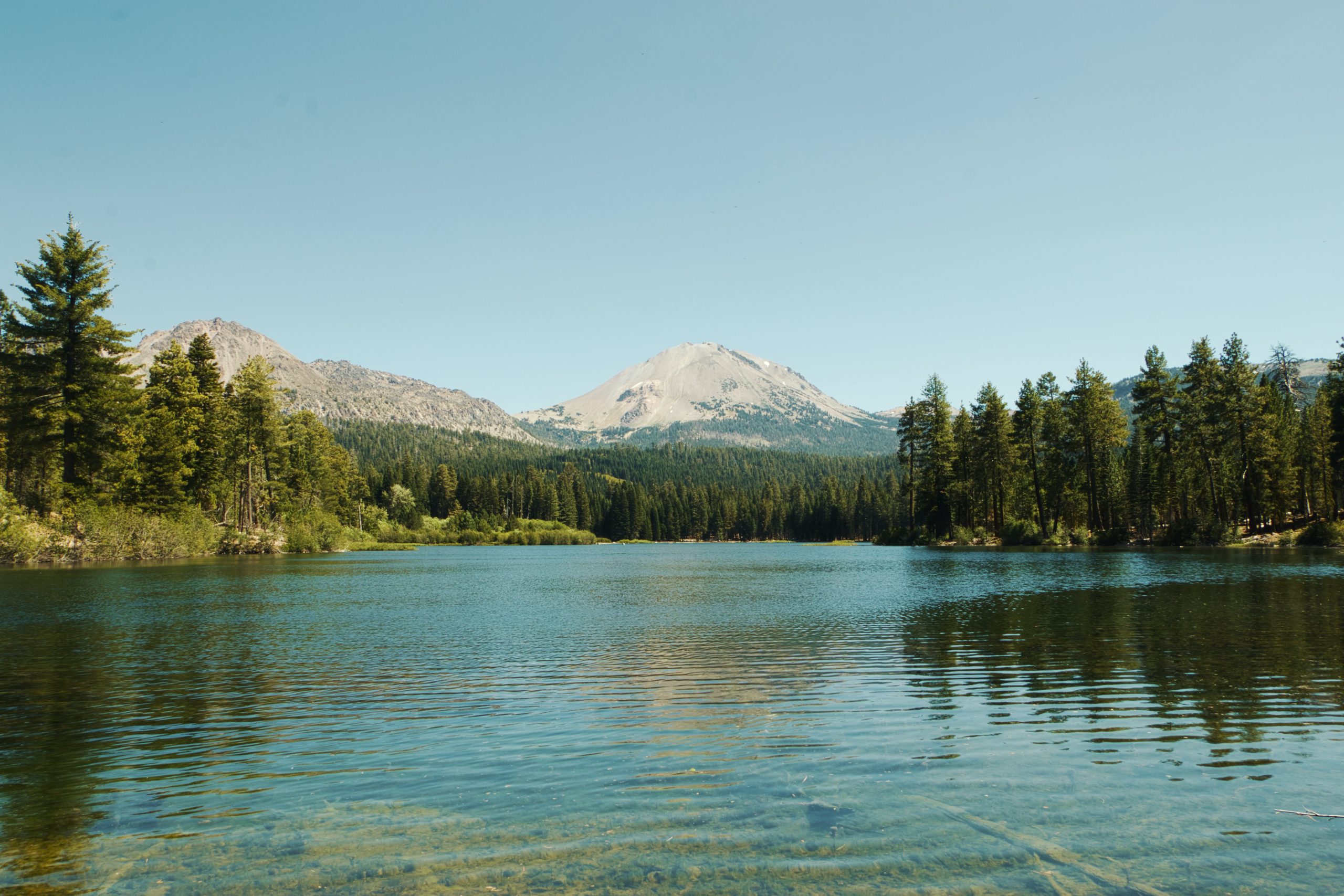 nature-background-scaled