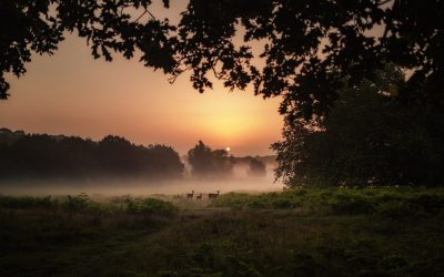 Blog Post Title #3