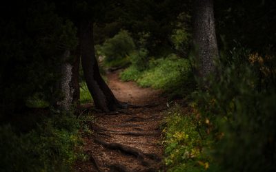 Blog Post Title #4
