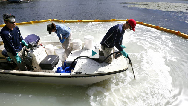 Minnesota lake first in nation to use new product to kill zebra mussels