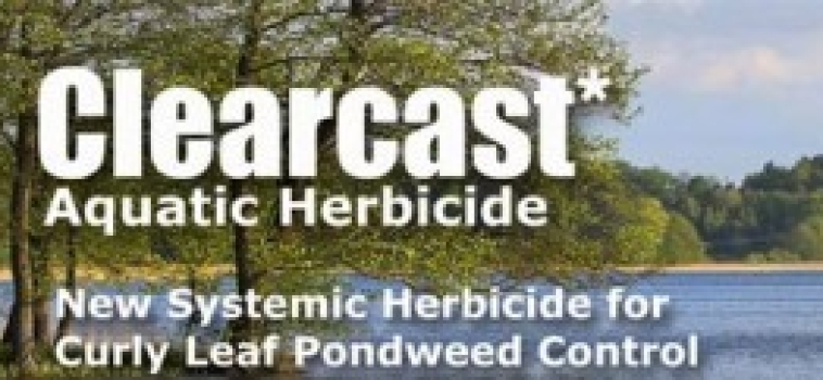 Curly Leaf Pondweed Control with Clearcast